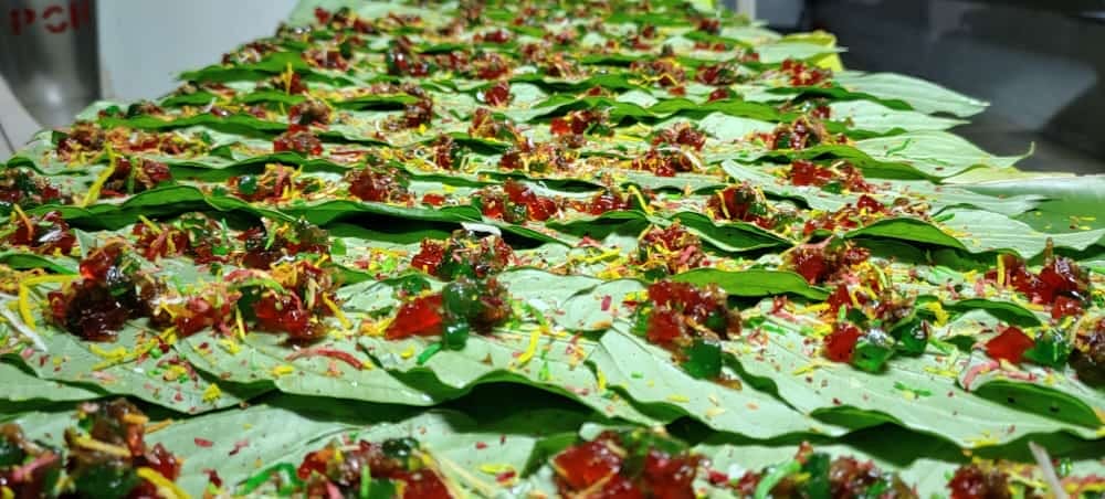 Traditional Indian appetizers prepared for home catering